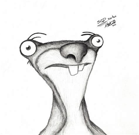 Photo: Suzi Eszterhas. . Sid the sloth drawing
